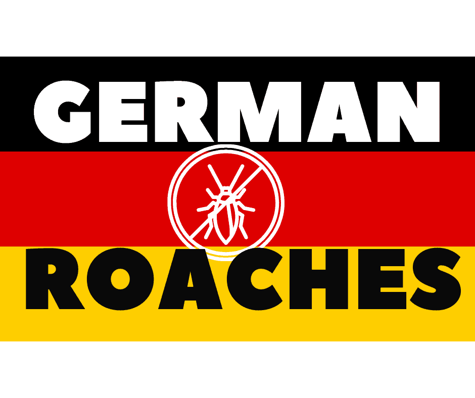 German Roach Treatments