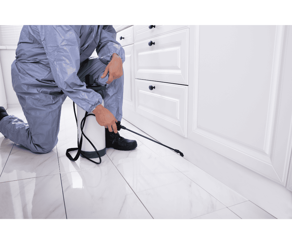 One Time Pest Control Treatment